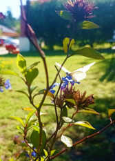 Foto 3 de la galería de Cabañas La Felicidad en Sierra De La Ventana