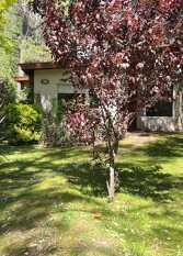 Foto 3 de la galería de Peumayen en Mar De Las Pampas