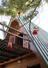 Foto 2 de la galería de Cabañas alpinas maquen en Quequen