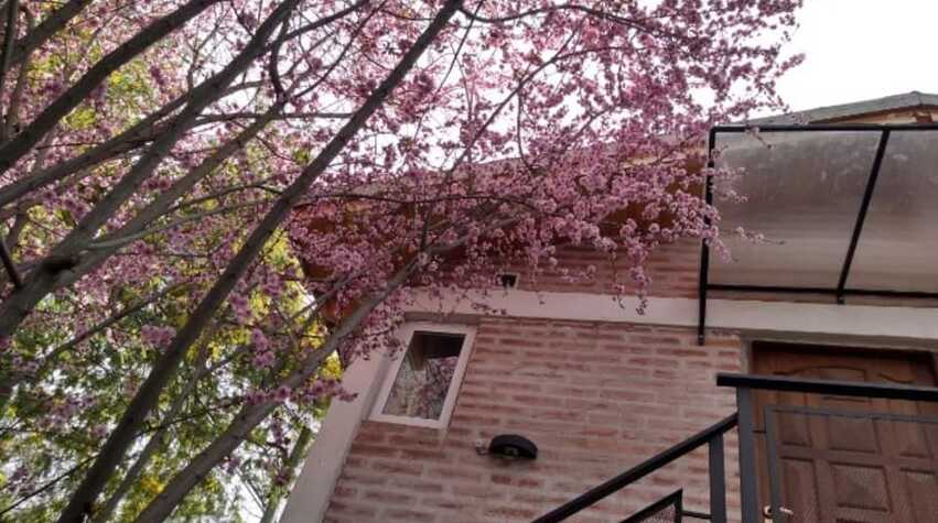 Foto principal de Anlupa departamento en El Bolsón