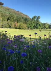 Foto 2 de la galería de Cabañas Hacia el Sur en El Hoyo