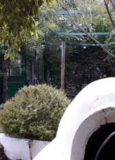 Foto 4 de Casa Vacacional El Árbol de Flo en Mayu Sumaj