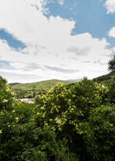 Foto 3 de la galería de La Montaña Casa de Campo en Rio Ceballos