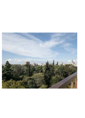 Foto 2 de la galería de S&S en Ciudad De Mendoza