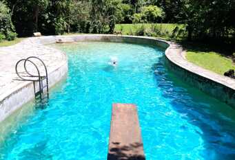 Foto 1 de la galería de COMPARTIENDO EL PARAÍSO en Mar Del Plata