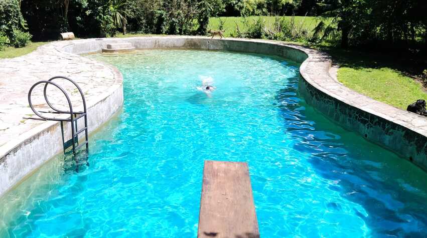 Foto principal de COMPARTIENDO EL PARAÍSO en Mar Del Plata