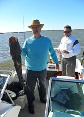 Foto 2 de la galería de Los Troncos Complejo Turístico de Cabañas en Ituzaingo