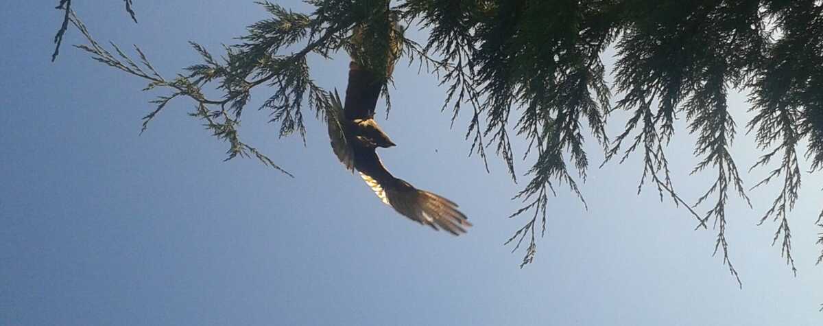 Foto principal de Suites&Love en Tandil