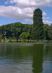 Foto 3 de la galería de Friends Apart en Capital Federal