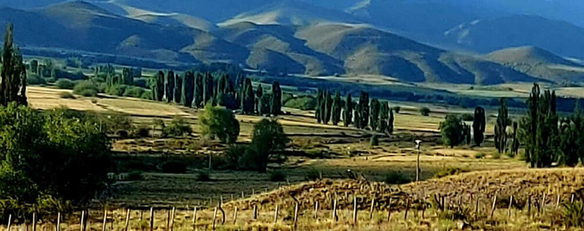 Foto principal de Casa Los Coirones en Tupungato