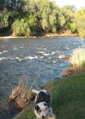 Foto 2 de la galería de La Casa de Almirall en Santa Rosa De Calamuchita