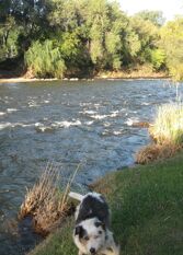 Foto 2 de la galería de La Casa de Almirall en Santa Rosa De Calamuchita