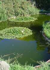 Foto 4 de Cabañas Almafuerte en Tres Arroyos