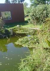 Foto 3 de la galería de Cabañas Almafuerte en Tres Arroyos