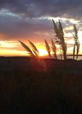 Foto 3 de la galería de CABAÑAS DUNAS ADVENTURE en San Rafael