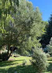 Foto 3 de la galería de POSADA DEL ÑIRECO en San Carlos De Bariloche