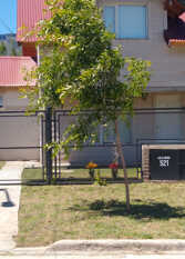 Foto 2 de la galería de Complejo Lola Mora en San Martín De Los Andes