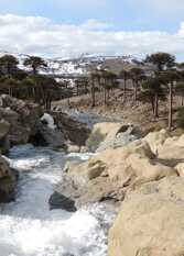 Foto 4 de Cabañas Refugio del Monje en Caviahue