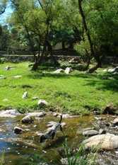 Foto 3 de la galería de La Casona del Río en Valle Hermoso