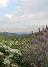 Foto 3 de la galería de El Solar de la Reserva en Unquillo