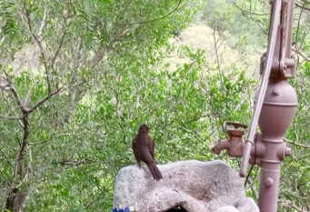 Foto 1 de la galería de El Solar de la Reserva en Unquillo