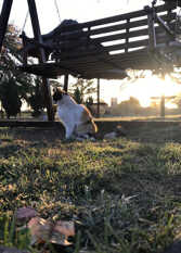 Foto 4 de Betania Complejo de Cabañas en Los Molles