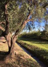 Foto 2 de la galería de La Viñuela San Rafael en San Rafael