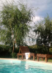 Foto 3 de la galería de Cabaña Los Plátanos en Zonda