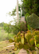Foto 2 de la galería de Cabañas Almenas del Sur en Alpa Corral