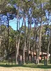 Foto 2 de la galería de Casas de Mar en Lucila del Mar Corrientes y S.del Estero en La Lucila Del Mar