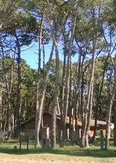 Foto 2 de la galería de Casas de Mar en Lucila del Mar Corrientes y S.del Estero en La Lucila Del Mar