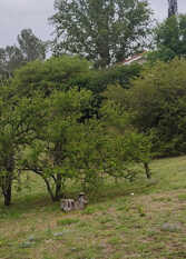 Foto 4 de Chalet Residencia Los Cipreses en Embalse