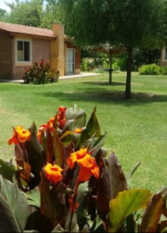 Foto 3 de la galería de SURAY CABAÑAS en Nono