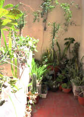 Foto 3 de la galería de Departamento a 6 cuadras del obelisco en Capital Federal