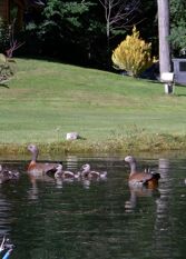 Foto 3 de la galería de La Estancia Patagonia Villa La Angostura en Villa La Angostura
