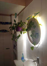 Foto 3 de la galería de con onda en Mar Del Plata