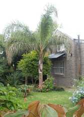 Foto 3 de la galería de Cabaña Don Julio en San Javier