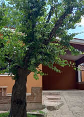 Foto 4 de Los Tilos Casa en Santa Rosa De Calamuchita