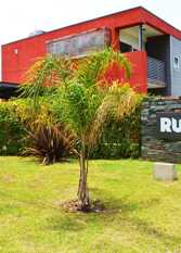 Foto 2 de la galería de Dúplex RumiPaz en Villa Rumipal