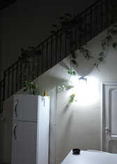 Foto 3 de la galería de La Salteñita en Ciudad De Salta