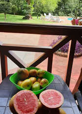Foto 2 de la galería de Cabañas Toucan Lodge en Puerto Iguazú