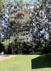 Foto 3 de la galería de Cabañas Toucan Lodge en Puerto Iguazú