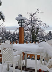 Foto 3 de la galería de La Casa de las Flores Bariloche en San Carlos De Bariloche