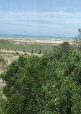 Foto 3 de la galería de Departamento Bosque V en Pinamar