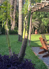 Foto 2 de la galería de Santa Rita Bungalows en Concepcion Del Uruguay