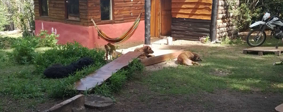 Foto principal de Cabaña en el Bosque en El Bolsón