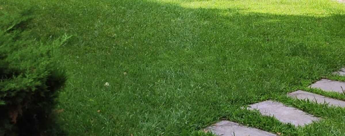 Foto principal de Casa de Luján en Lujan De Cuyo