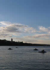 Foto 2 de Departamento en Edificio Lisandro en Villa Carlos Paz