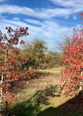 Foto 3 de la galería de Don Otto Complejo de Cabañas en Cabalango