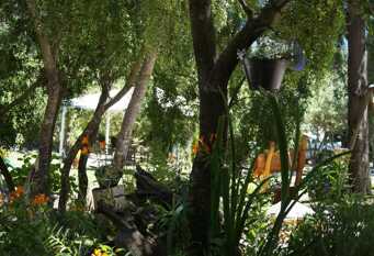 Foto 1 de la galería de Cabañas Niuke & Apart Fraschetti en El Bolsón